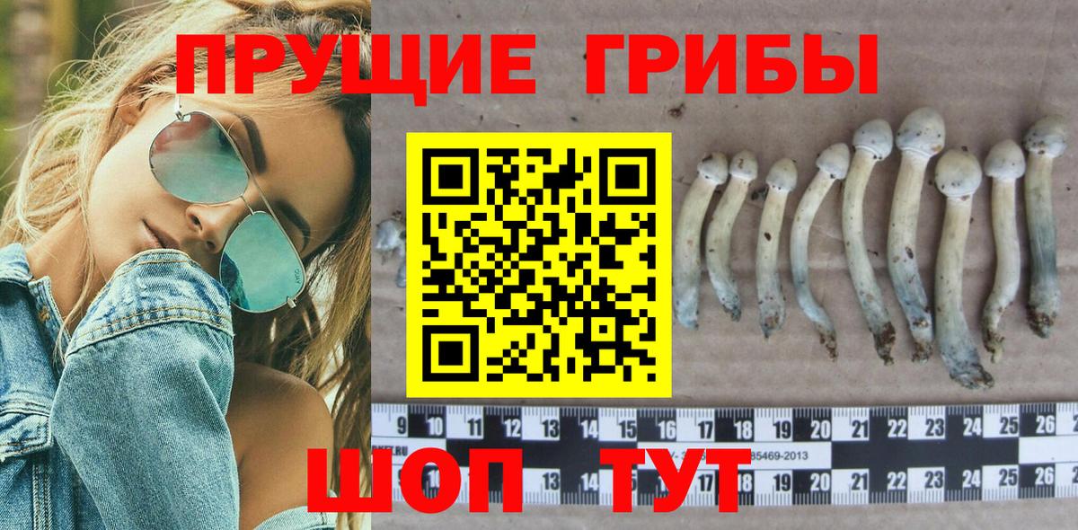 Псилоцибиновые грибы мицелий Партизанск